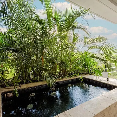 Come And Relax In The Jungle Of Tulum 3001